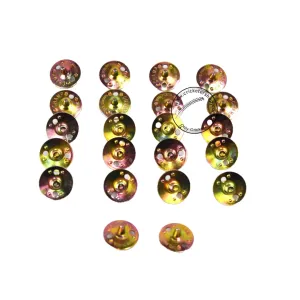 Champ Shoe Cricket Nails Metal 1 Pc
