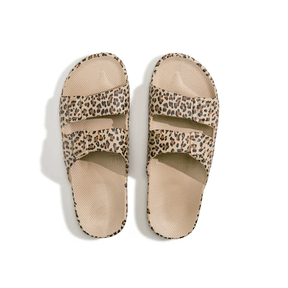 Freedom Moses Basic Slides