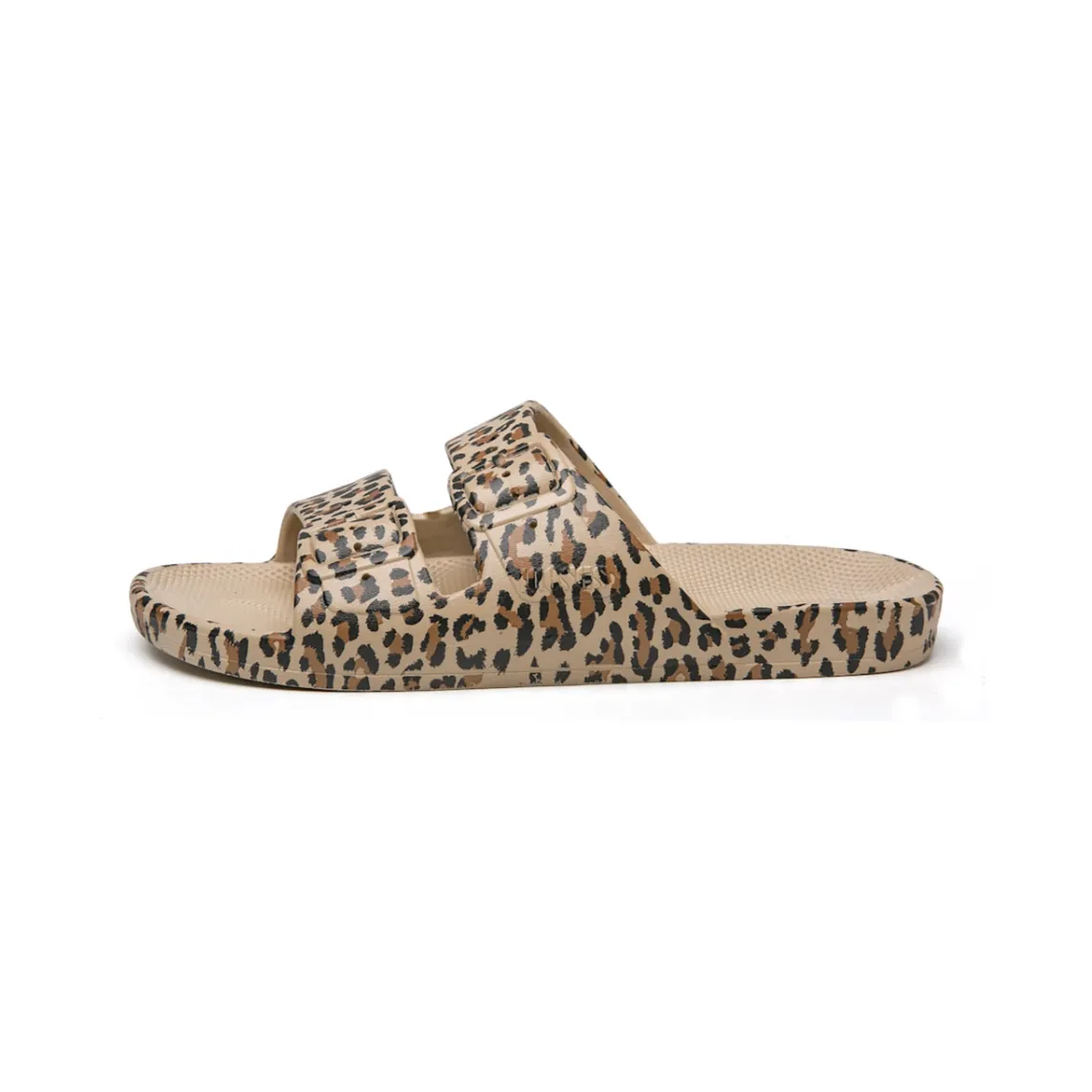 Freedom Moses Basic Slides