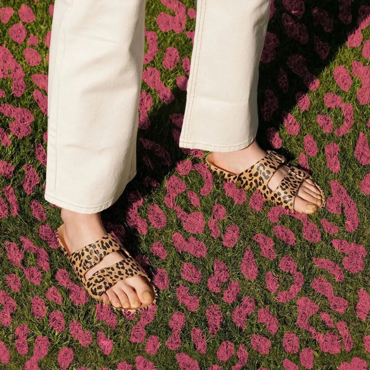 Freedom Moses Basic Slides
