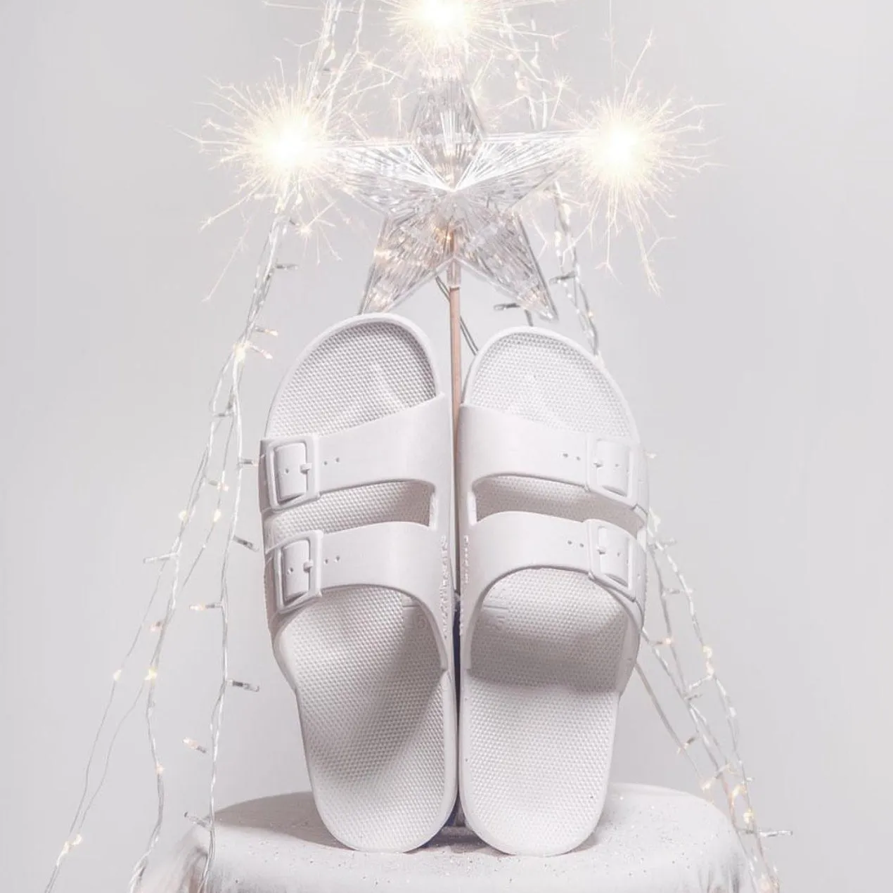 Freedom Moses Basic Slides