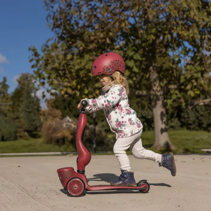 Highway Kick 1 Scooter and Pushbike All-in-One (Wildcat)