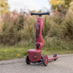 Highway Kick 1 Scooter and Pushbike All-in-One (Wildcat)