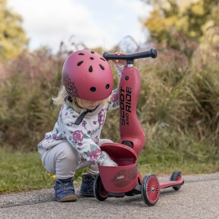 Highway Kick 1 Scooter and Pushbike All-in-One (Wildcat)
