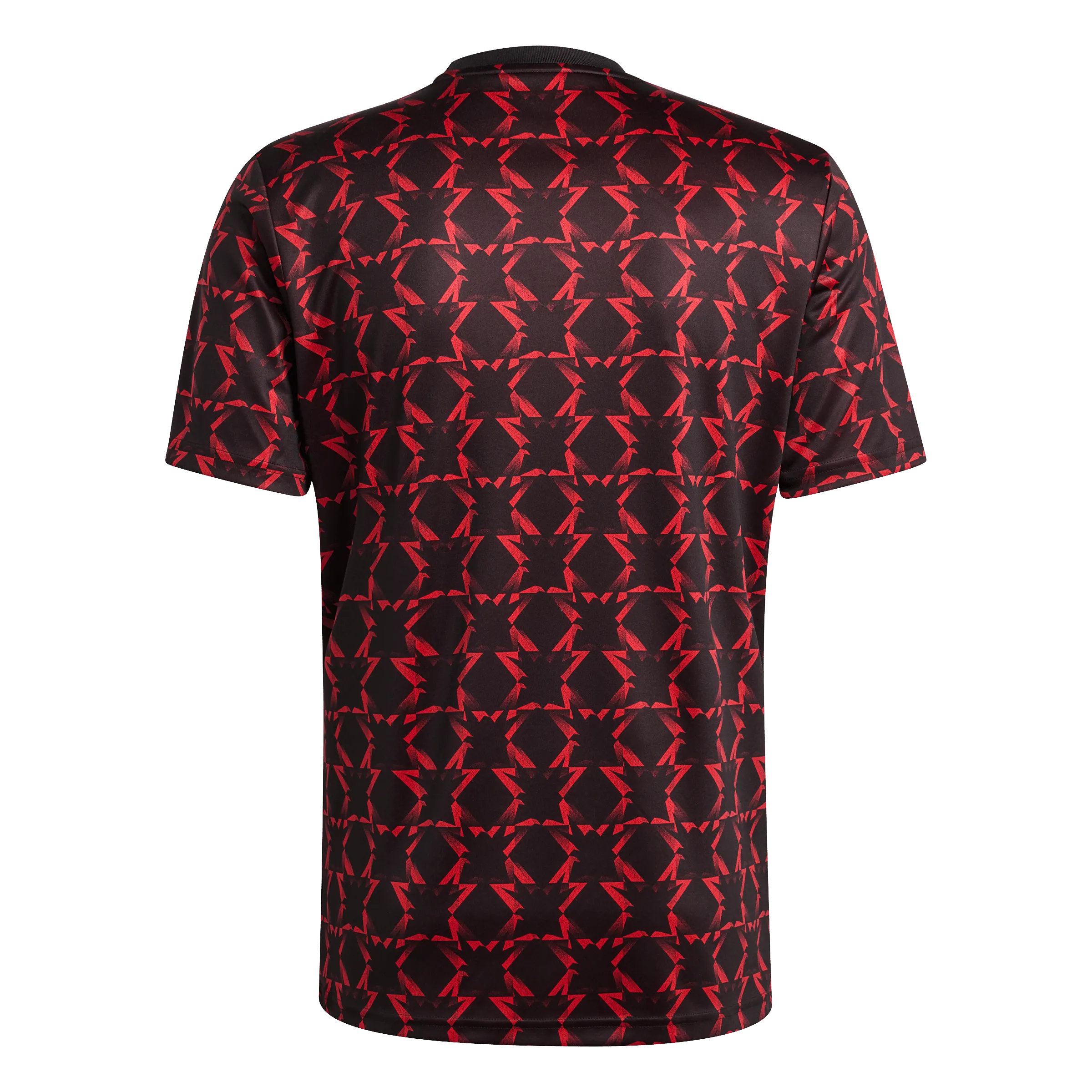 Manchester United 24/25 Pre-Match Jersey (IT1996)