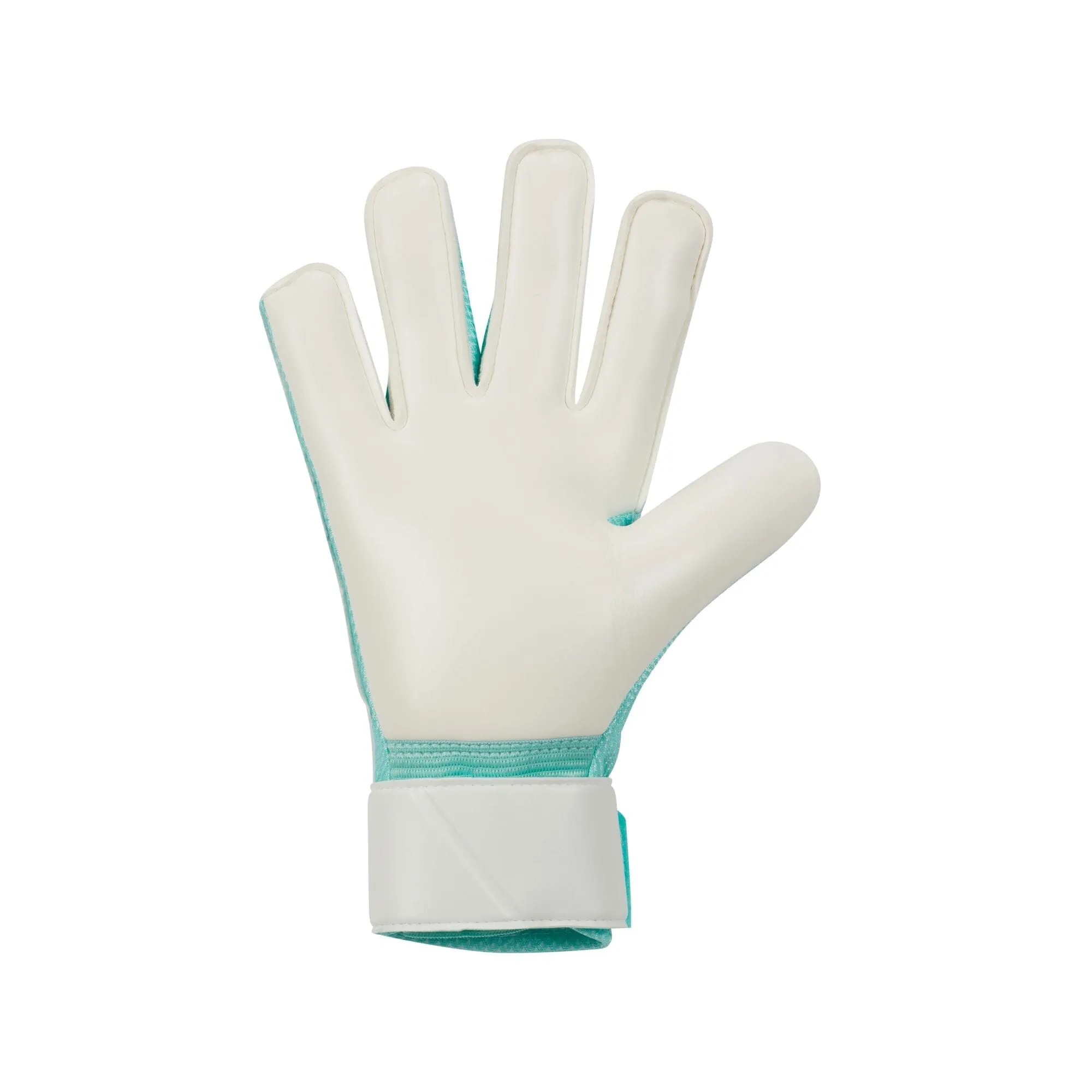 Match Goalkeeper Gloves (FJ4862-010)